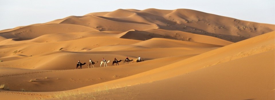 Tour mit Kamelen durch die Wüste