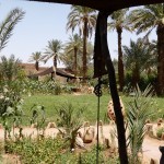 Dar Diafa in Tamegroute