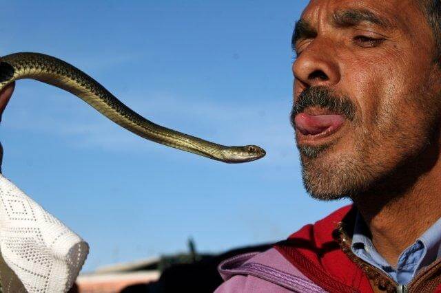 Schlangenbeschwoerer hält eine Schlange vor seinen Mund