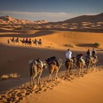 Marokko Reisen - Dromedartrekking