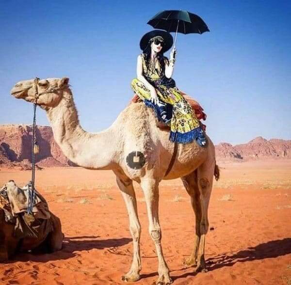 Geburtstag von Madonna Madonna in Marrakesch