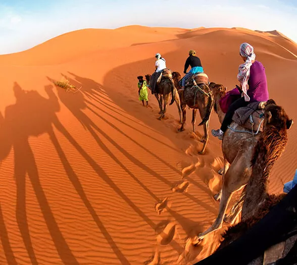 Merzouga Desert Tour with Camels