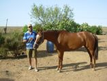 Reiten in Marrakesch mit dem Riad La Maison Nomade