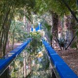 Im Jardin Majorelle mit seinen vielfältigen Pflanzen