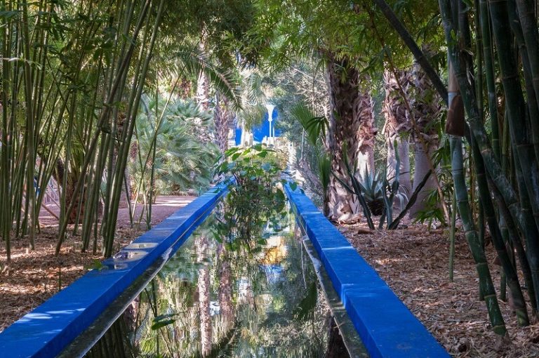 Im Jardin Majorelle mit seinen vielfältigen Pflanzen