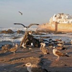 Essaouira, die Stadt am Atlantik, ca. 2 Std. vom Riad La Maison Nomade entfernt