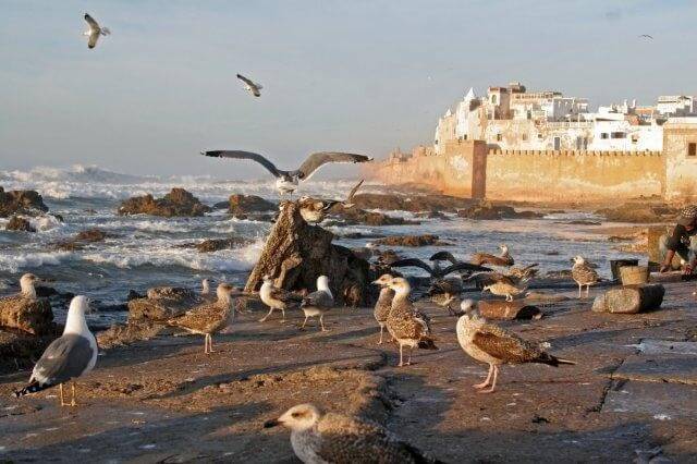Essaouira, die Stadt am Atlantik, ca. 2 Std. vom Riad La Maison Nomade entfernt