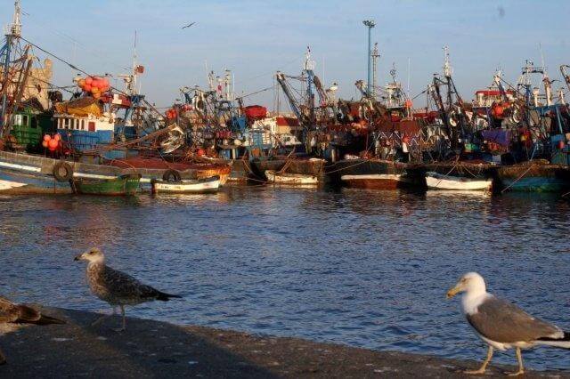 Alter Fischerhafen in Essaouira Mit dem Mietwagen nach Essaouira